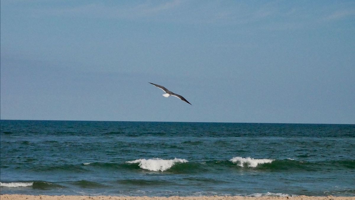 Top 10 Best Beach Towns in Maryland in 2027 — figure 3