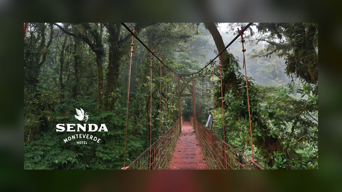 Top 10 Sustainable Eco-Lodges in Central America in 2027 — figure 8