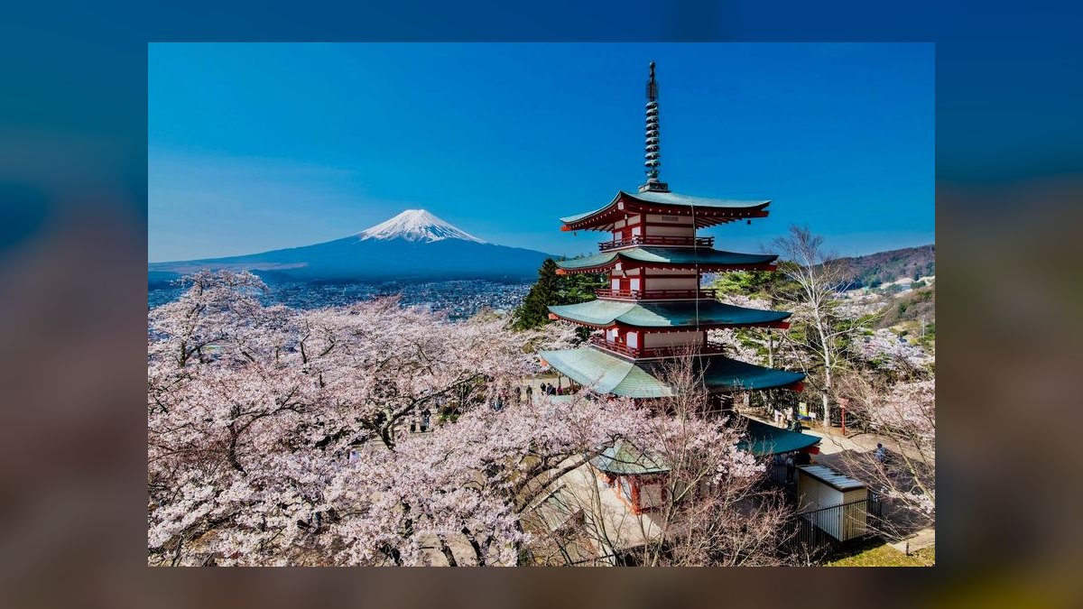 When is the best time to visit Japan for cherry blossom season in 2027 — figure 2