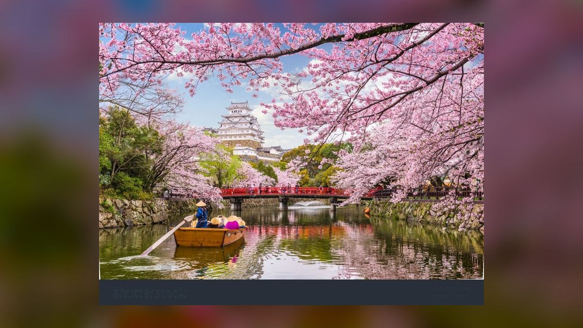 When is the best time to visit Japan for cherry blossom season in 2027 — figure 3