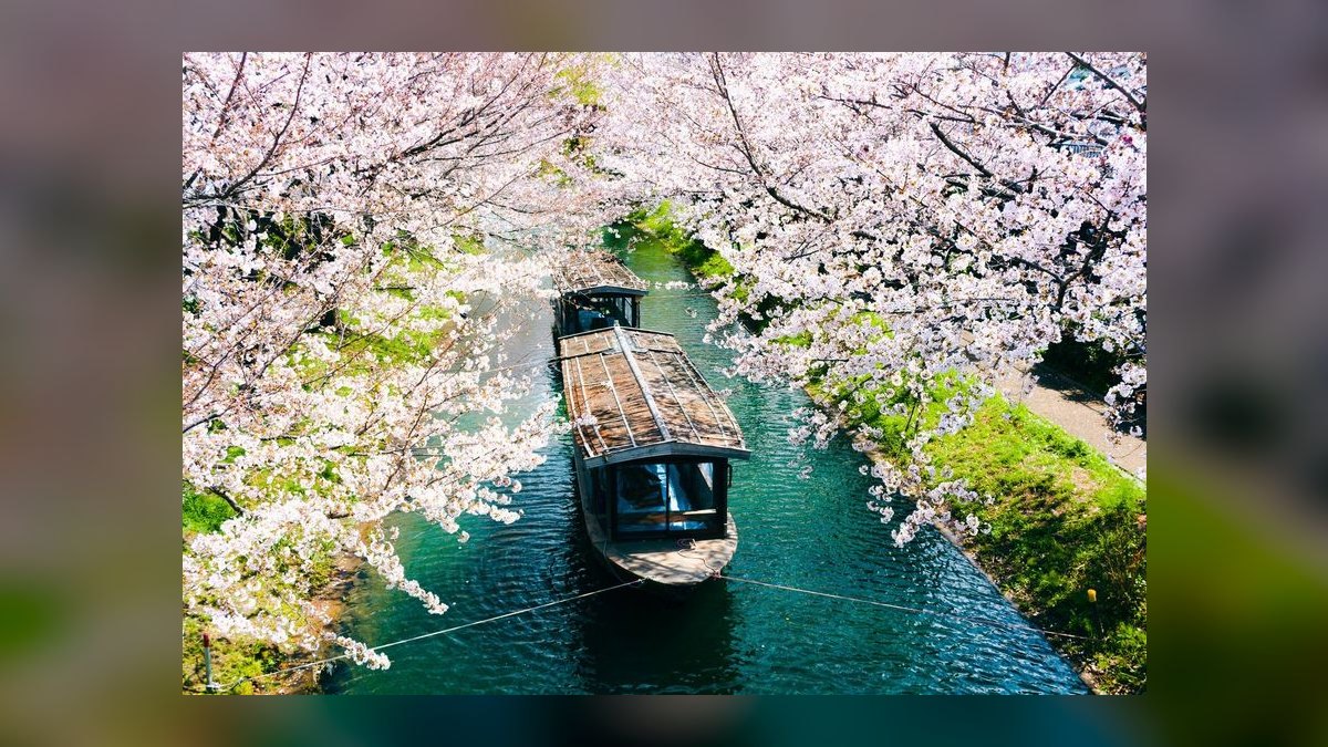 When is the best time to visit Japan for cherry blossom season in 2027 — figure 6