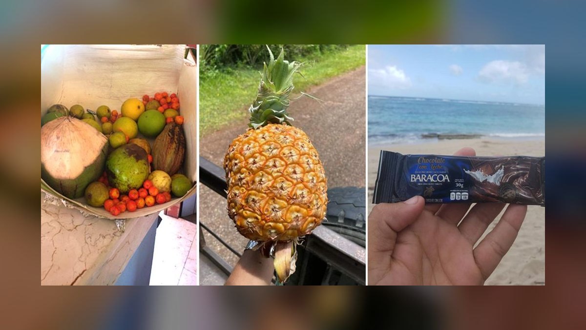 Top 10 Food Cities in Cuba in 2027 — figure 4