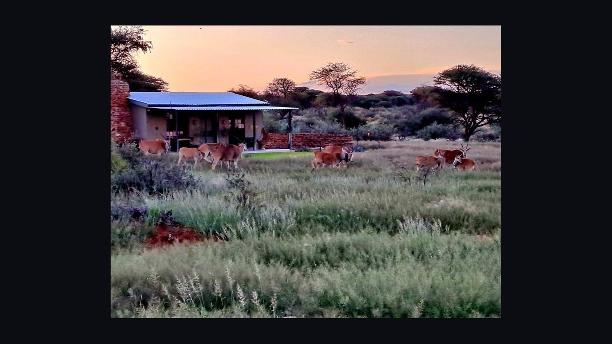 Top 10 Food Cities in Namibia in 2027 — figure 10