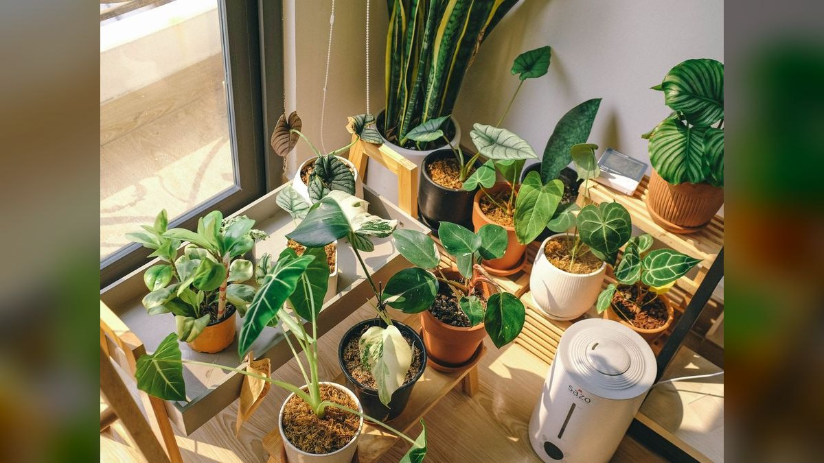 Top 10 Humidifiers in 2027 — Best Overall + Best Value — figure 6