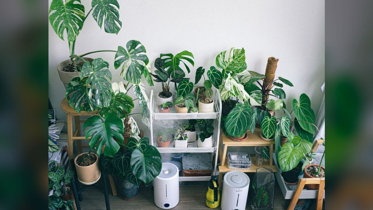 Top 10 Humidifiers — Best Overall + Best Value in 2027