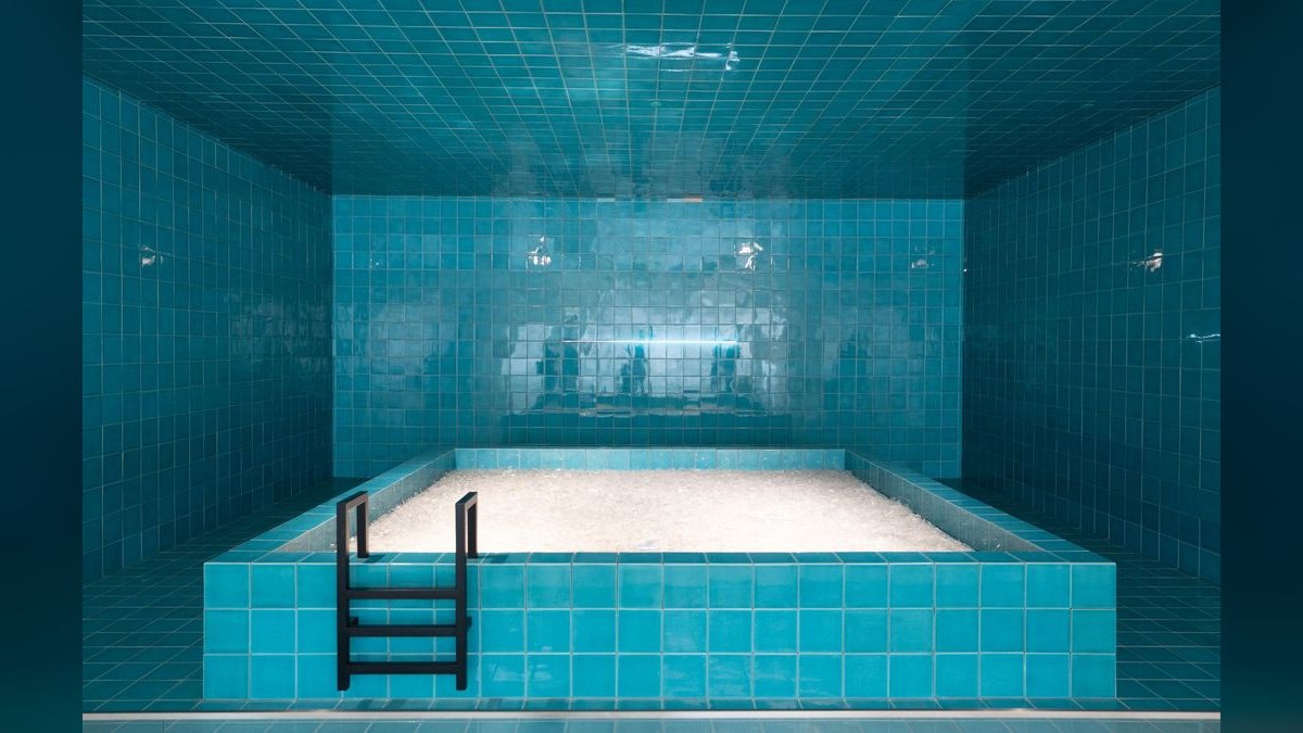 Top 10 Cold Plunge Chillers in 2027 — Best Overall + Best Value — figure 3