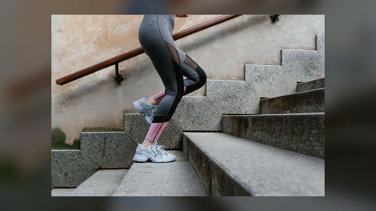 Top 10 Stair Climbers 2027 — figure 1