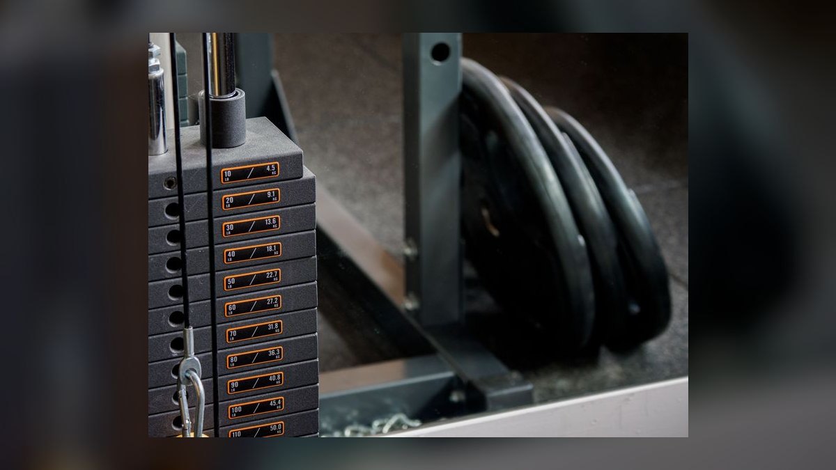 Top 10 Vibration Plates 2027 — figure 1