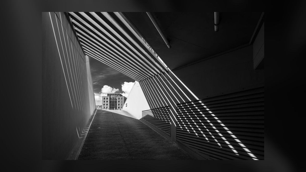 What do elite athletes do differently to speed up muscle recovery in 2027 — figure 4