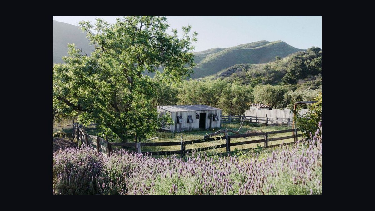 Top 10 Digital Detox Retreats in 2027 — figure 1