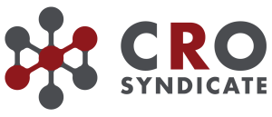 CRO Syndicate - fractional and interim revenue leaders